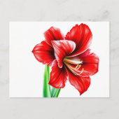 Rode amaryllis in Waterverf Briefkaart (Voorkant)