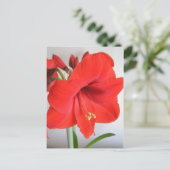 Rode Amaryllis Kerstbloem Briefkaart (Staand voorkant)