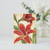 Rode Amaryllis Kerstmis Bloem Botanisch Feestdagenkaart (Staand voorkant)