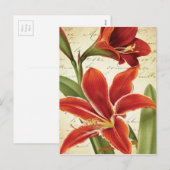 Rode Amaryllis Kerstmis Bloem Botanisch Feestdagenkaart (Voorkant / Achterkant)