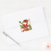 Rode Amaryllis Kerstmis Bloem Botanisch Vierkante Sticker (Envelop)