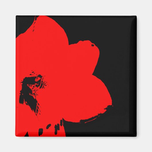 rode amaryllis magneet (Voorkant)