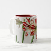 Rode amaryllis mok met aangepaste tekst (Voorkant links)