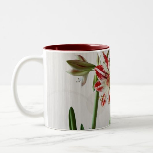 Rode amaryllis mok met aangepaste tekst (Links)