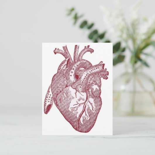 Rode  anatomische hartslag briefkaart (Staand voorkant)