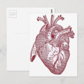 Rode anatomische hartslag briefkaart (Voorkant / Achterkant)