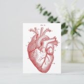 Rode anatomische hartslag briefkaart (Staand voorkant)