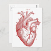 Rode anatomische hartslag briefkaart (Voorkant / Achterkant)