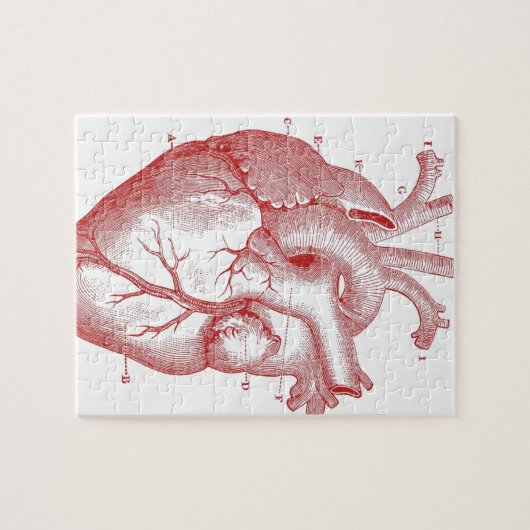 Rode anatomische hartslag legpuzzel (Horizontaal)