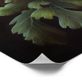 Rode Anemone Bloem Art Print Poster (Hoek)