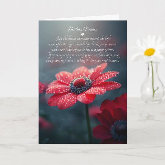 Rode Anemonen Sentimentele Beterschap Kaart (Kleine Plant)