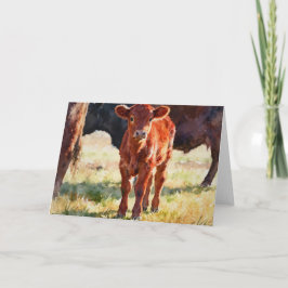 Rode Angus-kalfstudie in aquarel Kaart