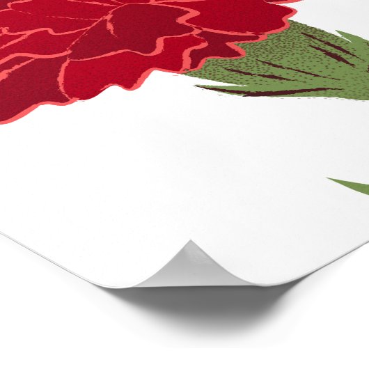 Rode anjer bloem poster (Hoek)