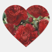 Rode anjer bloemen Stickers (Voorkant)