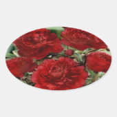 Rode anjer bloemen Stickers (Voorkant)