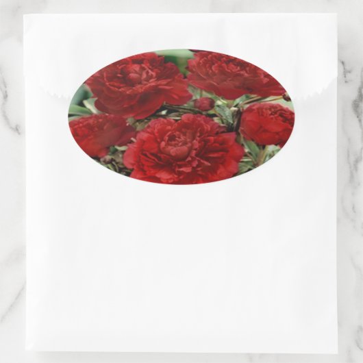 Rode anjer bloemen Stickers (Tas)