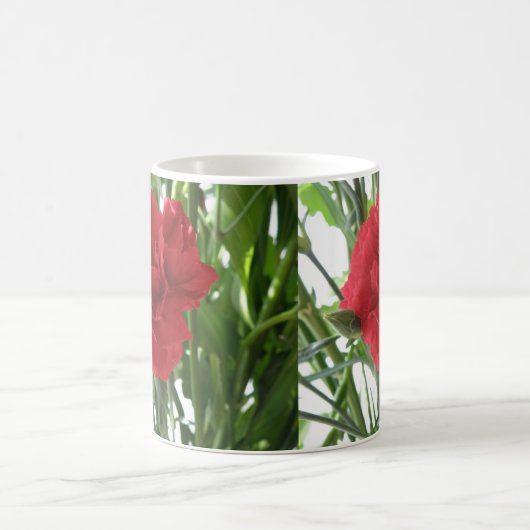 Rode anjer Mok (Center)