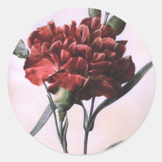 rode anjer ronde sticker (Voorkant)