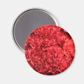 Rode anjers achtergrond magneet (Voorkant / Achterkant)