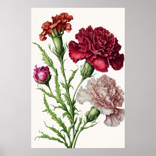 Rode anjers bloemenkunst print Poster (Voorkant)