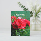 Rode anjers Happy Birthday Briefkaart (Staand voorkant)