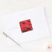 Rode anjers vierkante sticker (Envelop)