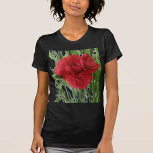 Rode anjnaars, Shirt