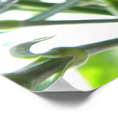 Rode anjnafdruk poster (Hoek)