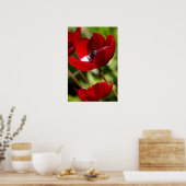 Rode annemonventilator poster (Keuken)