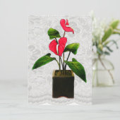 Rode anthurium in Planter Kaart (Staand voorkant)