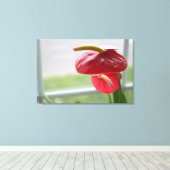 Rode Anthurium Tropische Bloem op Verpakt Canvas (Insitu (Houten vloer))