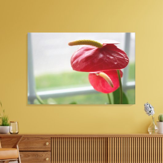Rode Anthurium Tropische Bloem op Verpakt Canvas (Insitu (Woonkamer))