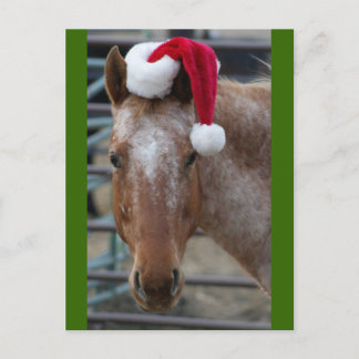 Rode Appaloosa met Santa Hat Feestdagenkaart