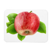 Rode appel magneet (Horizontaal)