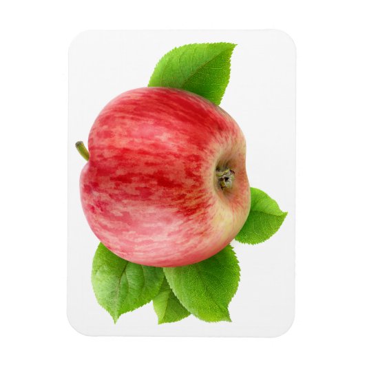 Rode appel magneet (Verticaal)