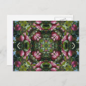 Rode Appelen op de Kunst Postcar van de Briefkaart (Voorkant / Achterkant)