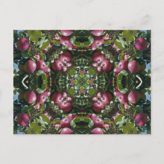 Rode Appelen op de Kunst Postcar van de Briefkaart (Voorkant)