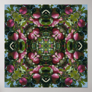Rode appels aan boom Natuur kunst abstract Poster