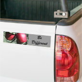 Rode appels andere Motivatie Bumpersticker (Op Truck)