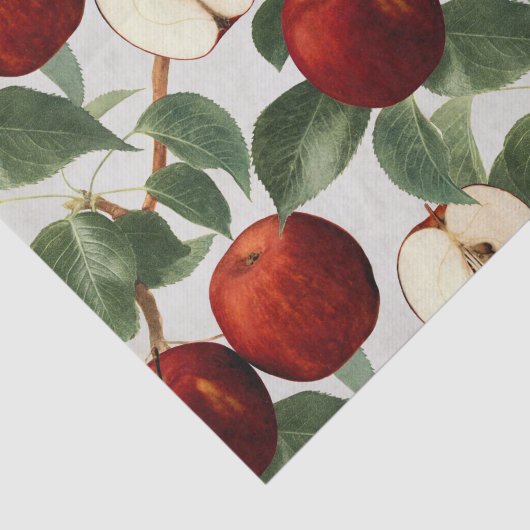 Rode appels Botanische Waterverf Tissuepapier (Detail)