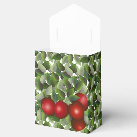 Rode Appels Bruiloft | Dank je Bedankdoosjes (Geopend)