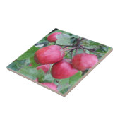 Rode appels in de boom tegeltje (Zijkant)