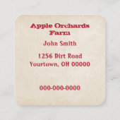 Rode appels in mandje vierkante visitekaartje (Achterkant)