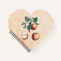 Rode appels met bladeren