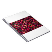 Rode appels notitieboek (Rechterzijde)