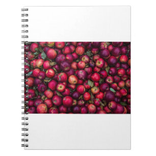 Rode appels notitieboek