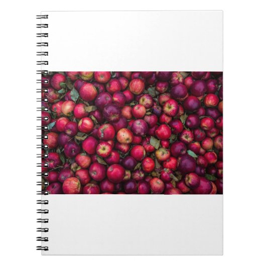 Rode appels notitieboek (Voorkant)