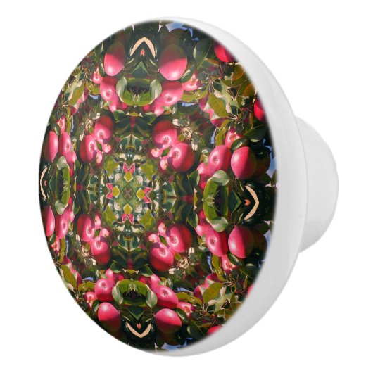 Rode appels op Abstracte Natuur van bomen Keramische Knop (Rechts)