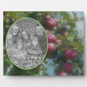 Rode appels op boom schilderen Voeg je eigen foto  Fotoplaat (Voorkant)