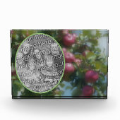 Rode appels op boom schilderen Voeg je eigen Fotoblokken (Voorkant)